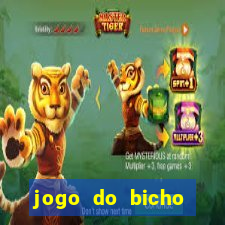 jogo do bicho banca ouro verde